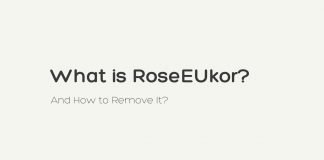 What is RoseEUkor? And How to remove it