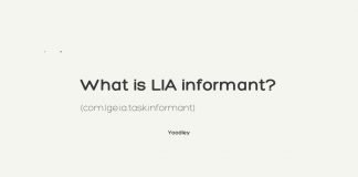 What is LIA informant (com.lge.ia.task.informant)?