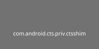 What Is com.android.cts.priv.ctsshim