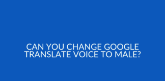 Can You Change Google Translate Voice to Male?