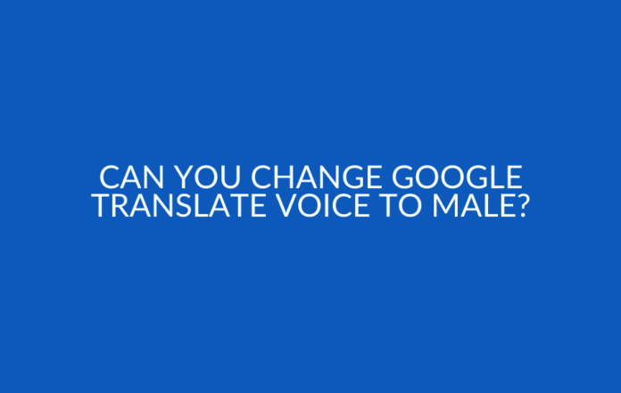 Can You Change Google Translate Voice to Male?
