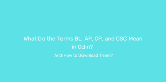 What Do the Terms BL, AP, CP, and CSC Mean in Odin? And How to Download Them?
