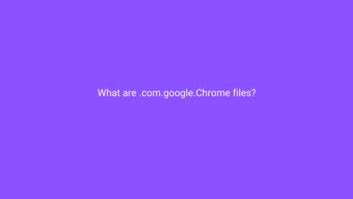 What Are .com.google.chrome Files? Can You Delete Them?