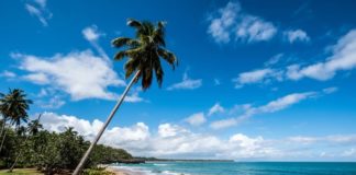 Does T-mobile Work In The Dominican Republic?